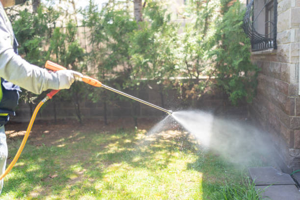 Best Pest Prevention Services  in West Covina, CA