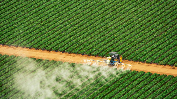 Best Pest Control Treatment  in West Covina, CA