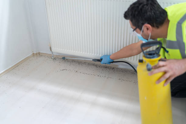 Best Pest Control Near Me  in West Covina, CA