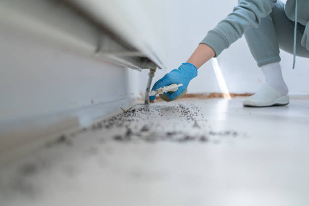 Best Cockroach Control Services  in West Covina, CA